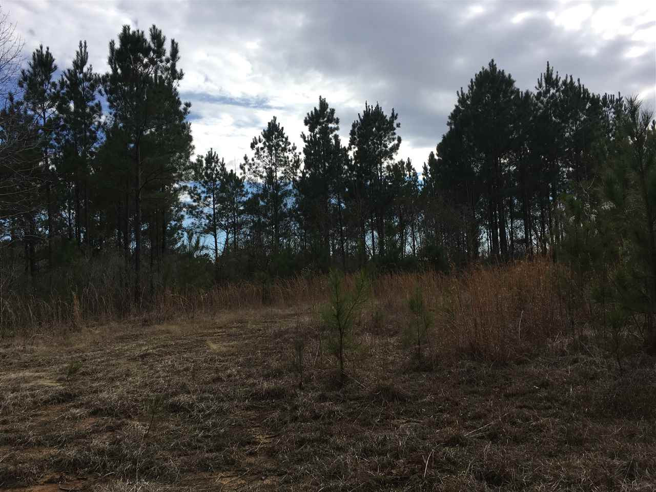1288 B Robinson Road Canton, MS 39046 - Photo 10 of 20 Photo 10