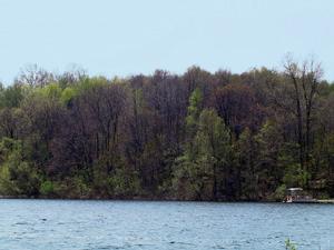 1 Head Road Delton, MI 49058 - Photo 1 of 1 Primary Photo