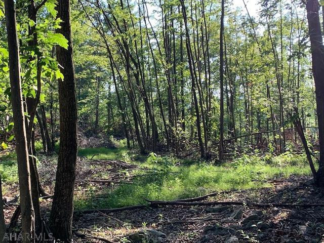 1009 A Six Mile Run Road Six Mile Run, PA 16679 - Photo 37 of 47 Gallery Image 37