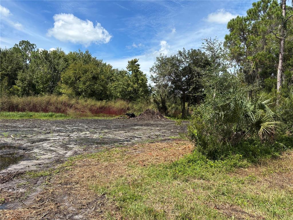 864 Rasley Road New Smyrna Beach, FL 32168 - Photo 5 of 23 Gallery Image 5