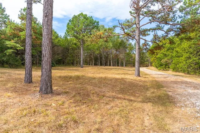 $1,210,000 | 0 County Road 20A, Belleview, MO 63623