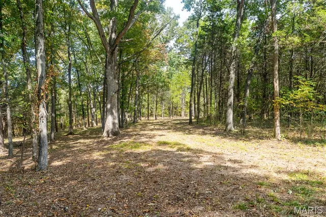 $1,210,000 | 0 County Road 20A, Belleview, MO 63623