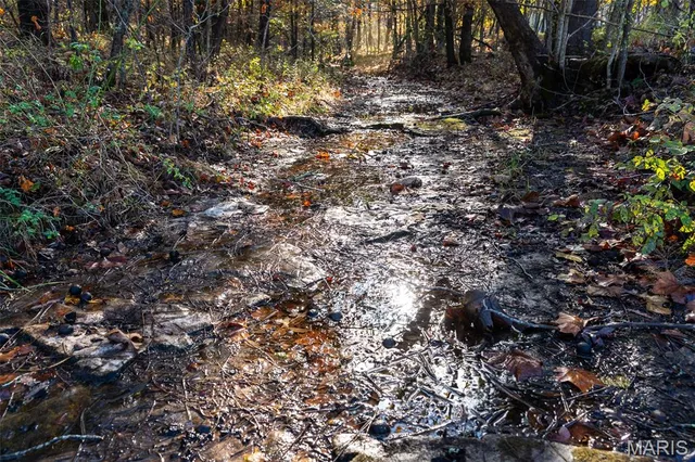 $1,210,000 | 0 County Road 20A, Belleview, MO 63623