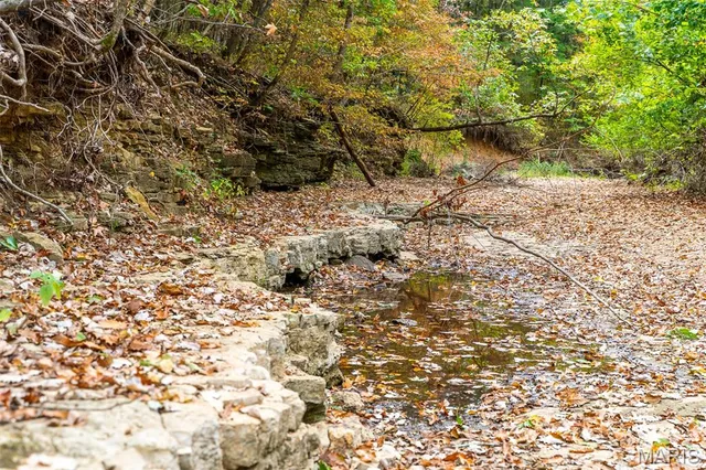 $1,210,000 | 0 County Road 20A, Belleview, MO 63623