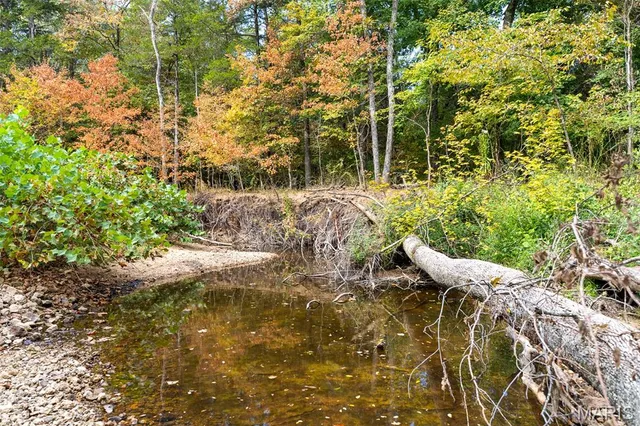 $1,210,000 | 0 County Road 20A, Belleview, MO 63623