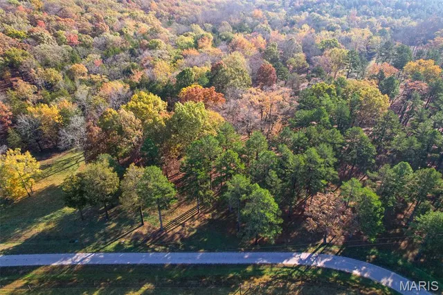 $1,210,000 | 0 County Road 20A, Belleview, MO 63623