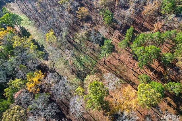 $1,210,000 | 0 County Road 20A, Belleview, MO 63623