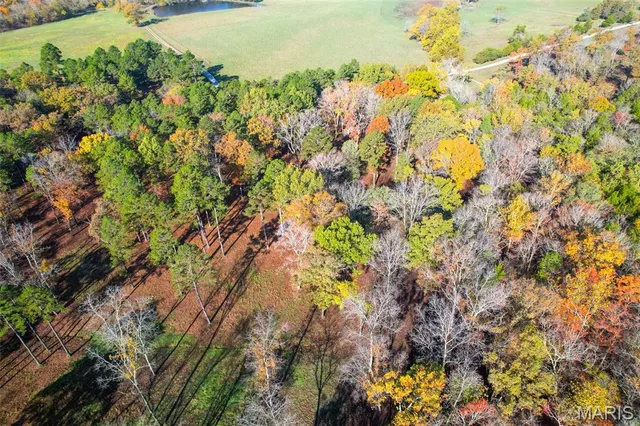 $1,210,000 | 0 County Road 20A, Belleview, MO 63623