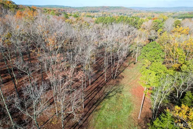 $1,210,000 | 0 County Road 20A, Belleview, MO 63623