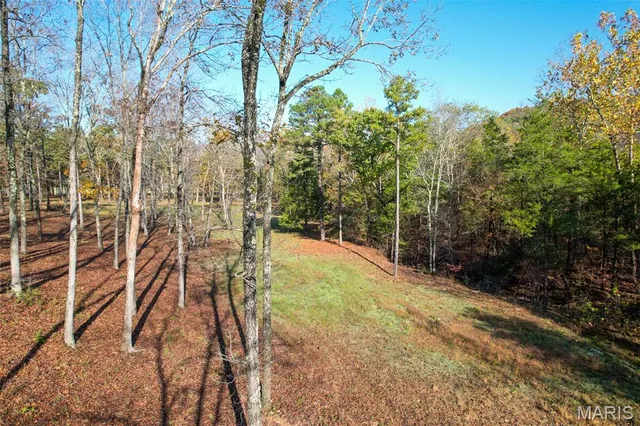 $1,210,000 | 0 County Road 20A, Belleview, MO 63623