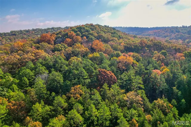 $1,210,000 | 0 County Road 20A, Belleview, MO 63623