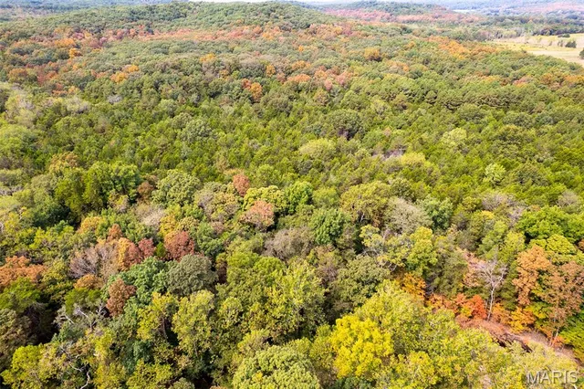 $1,210,000 | 0 County Road 20A, Belleview, MO 63623