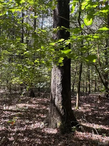 $1,210,000 | 0 County Road 20A, Belleview, MO 63623