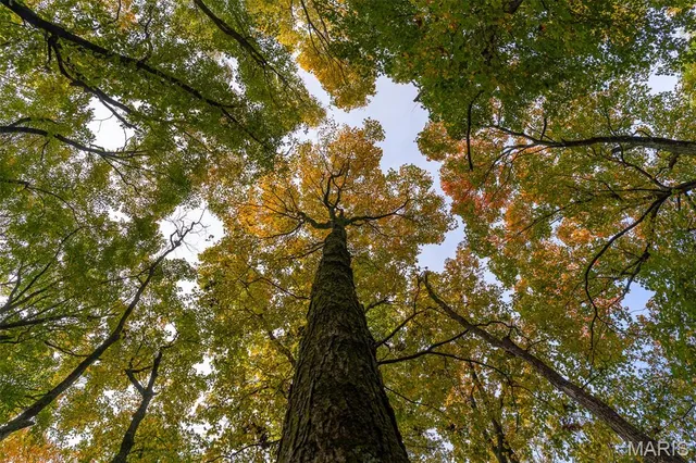 $1,210,000 | 0 County Road 20A, Belleview, MO 63623