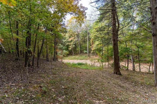 $1,210,000 | 0 County Road 20A, Belleview, MO 63623