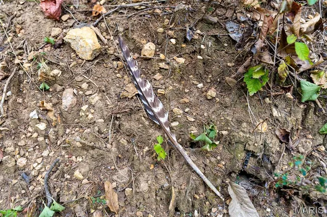 $1,210,000 | 0 County Road 20A, Belleview, MO 63623