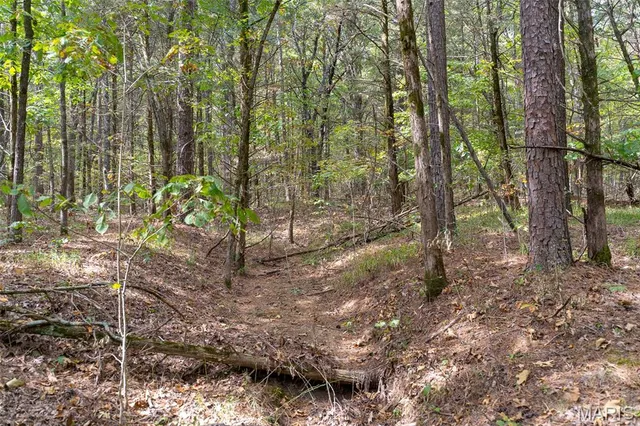 $1,210,000 | 0 County Road 20A, Belleview, MO 63623