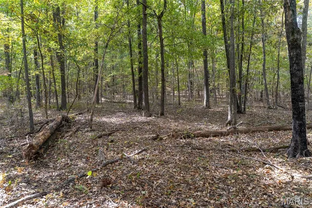 $1,210,000 | 0 County Road 20A, Belleview, MO 63623