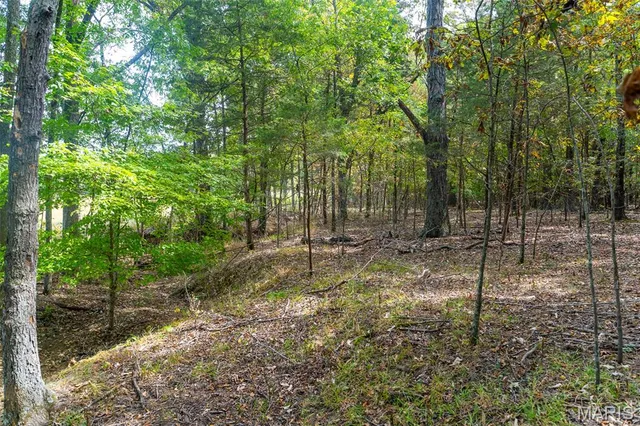 $1,210,000 | 0 County Road 20A, Belleview, MO 63623