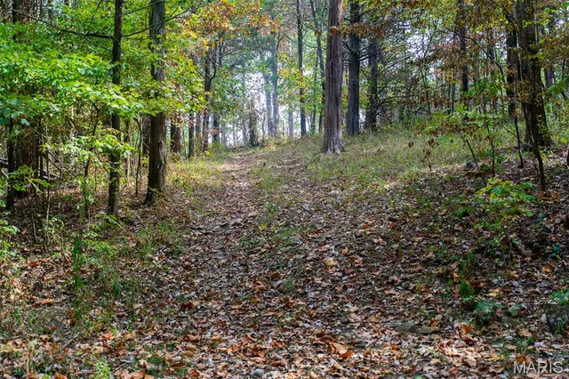 $1,210,000 | 0 County Road 20A, Belleview, MO 63623