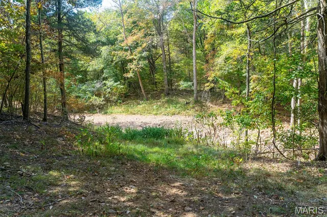 $1,210,000 | 0 County Road 20A, Belleview, MO 63623