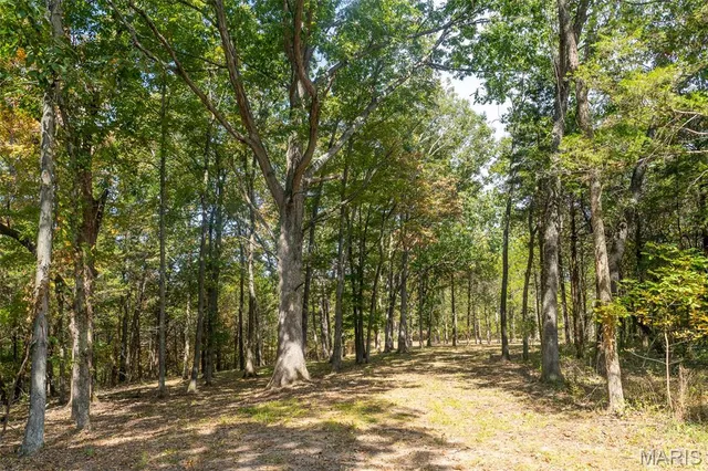 $1,210,000 | 0 County Road 20A, Belleview, MO 63623