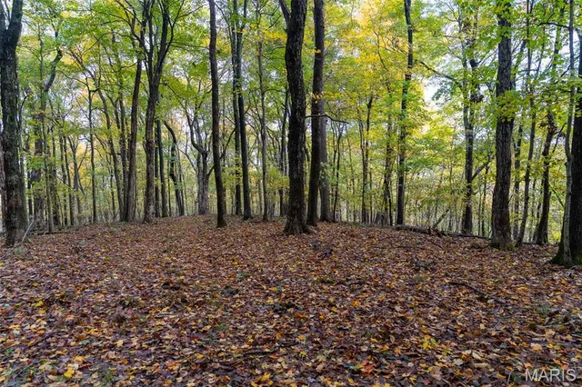 $1,210,000 | 0 County Road 20A, Belleview, MO 63623