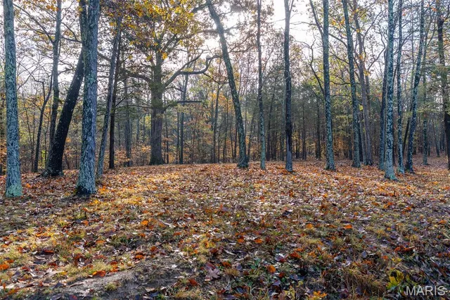 $1,210,000 | 0 County Road 20A, Belleview, MO 63623