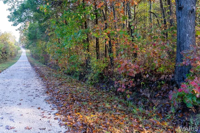 $1,210,000 | 0 County Road 20A, Belleview, MO 63623