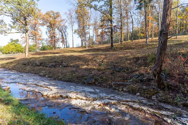 $1,210,000 | 0 County Road 20A, Belleview, MO 63623