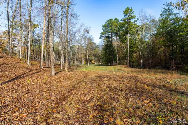 $1,210,000 | 0 County Road 20A, Belleview, MO 63623