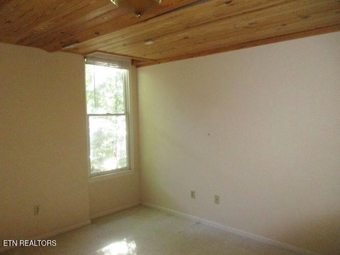 212 Overlook Drive Ten Mile, TN 37880 - Photo 17 of 17 tn_basement room 2