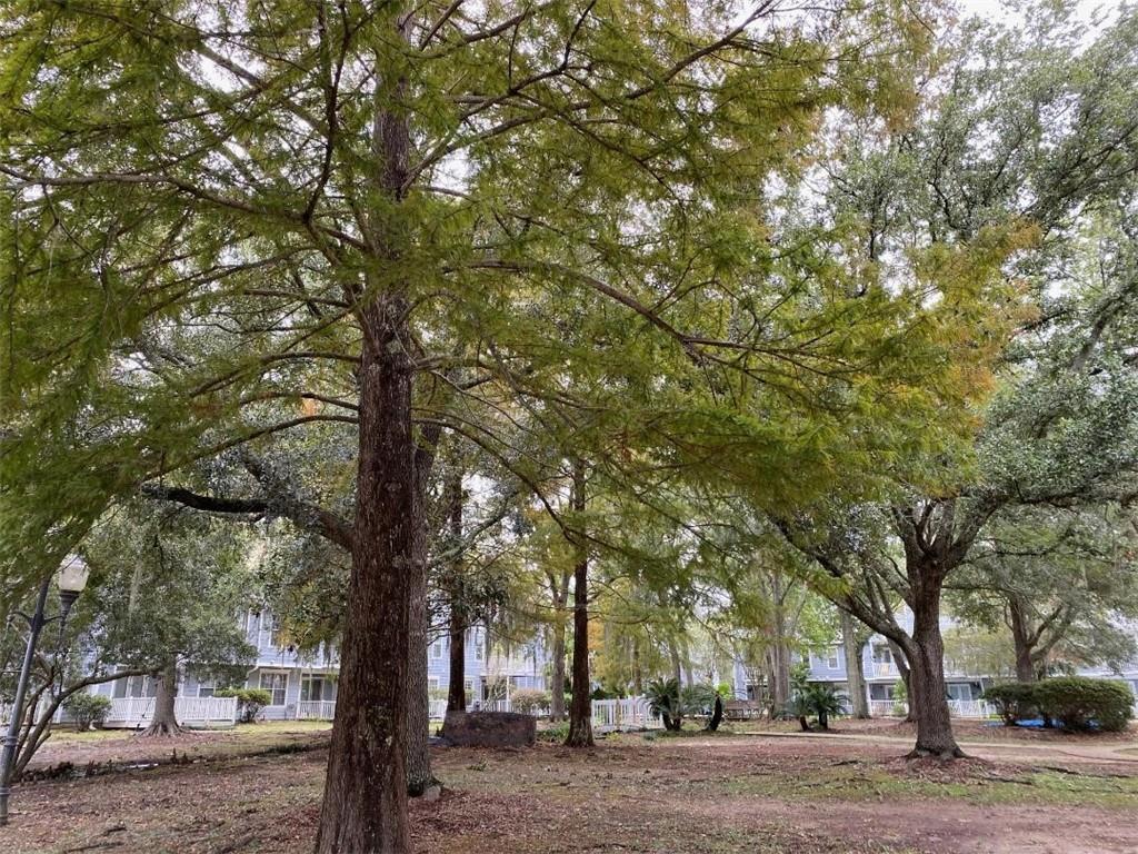 645 Colbert Street, Unit 30 Mandeville, LA 70448 - Photo 17 of 19 Gallery Image 17