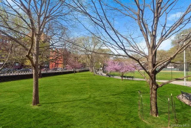 a street view with a trees