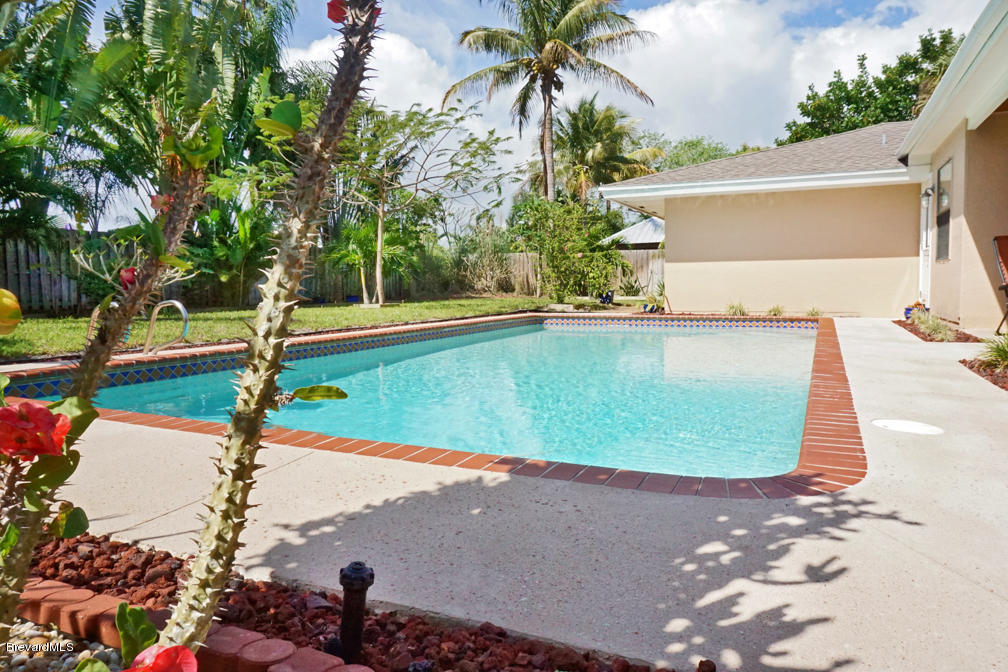 157 Sand Pine Road Indialantic, FL 32903 - Photo 22 of 30 BEAUTIFUL POOL