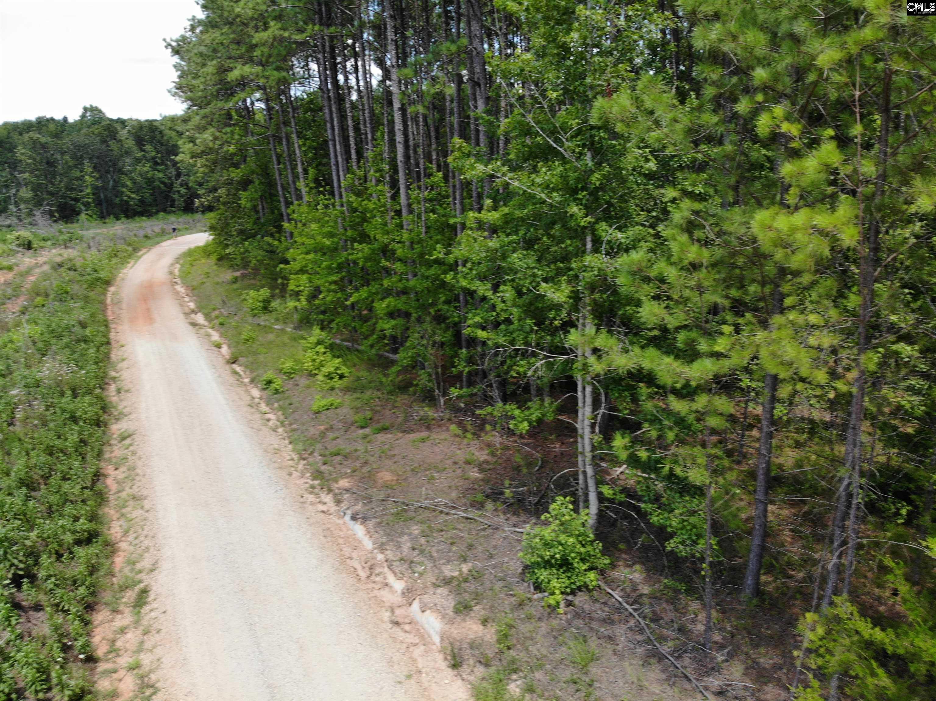 Lot 103 Pineland Road Chappells, SC 29037 - Photo 5 of 9