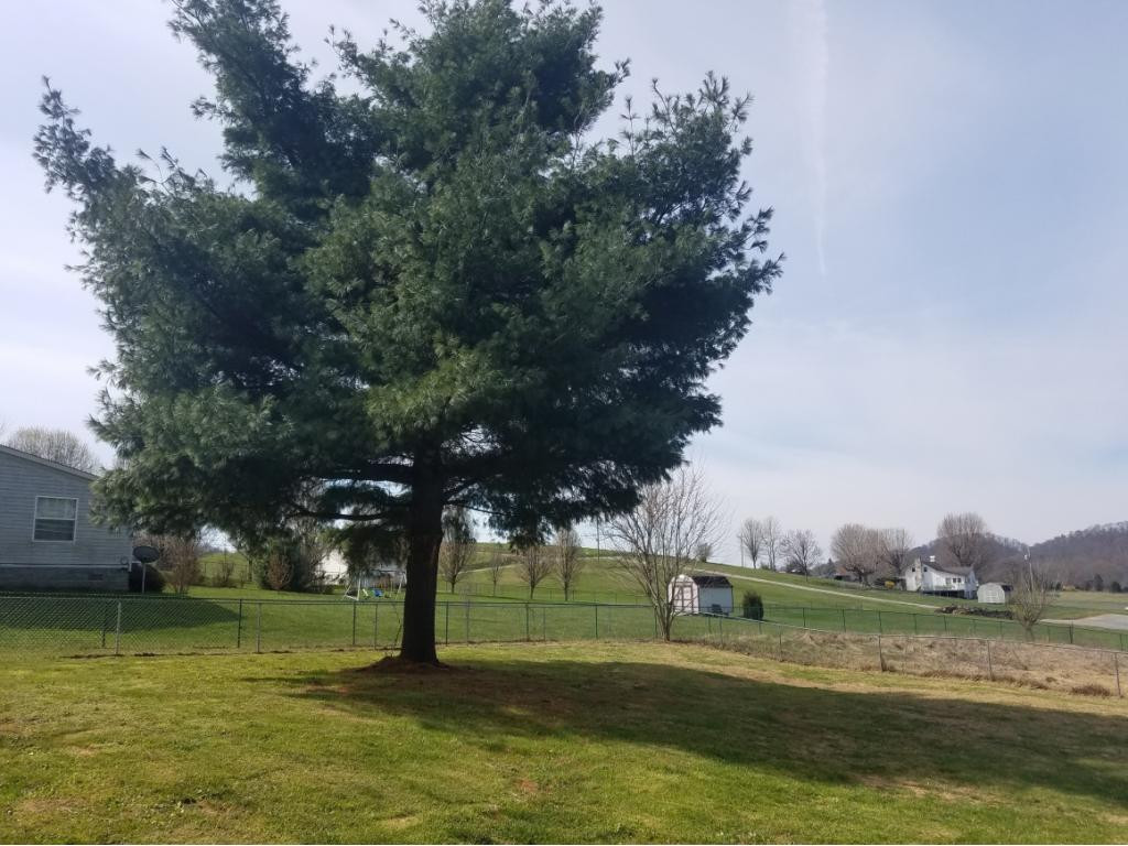 561 Brethren Church Road Jonesborough, TN 37659 - Photo 23 of 23 Photo 23