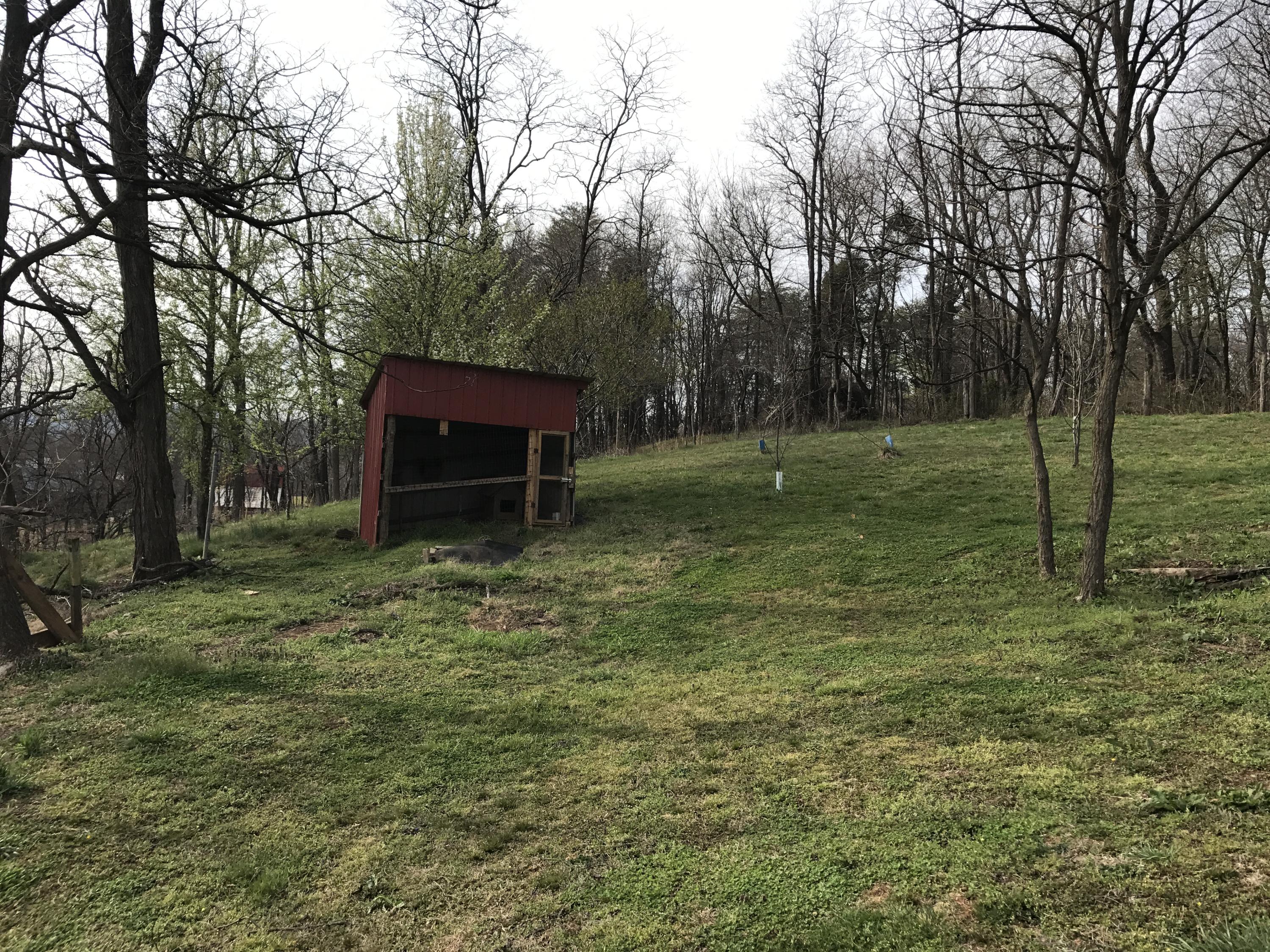 60 Old Tram Road Blue Ridge, VA 24064 - Photo 22 of 44 a backyard of a house with lots of green space