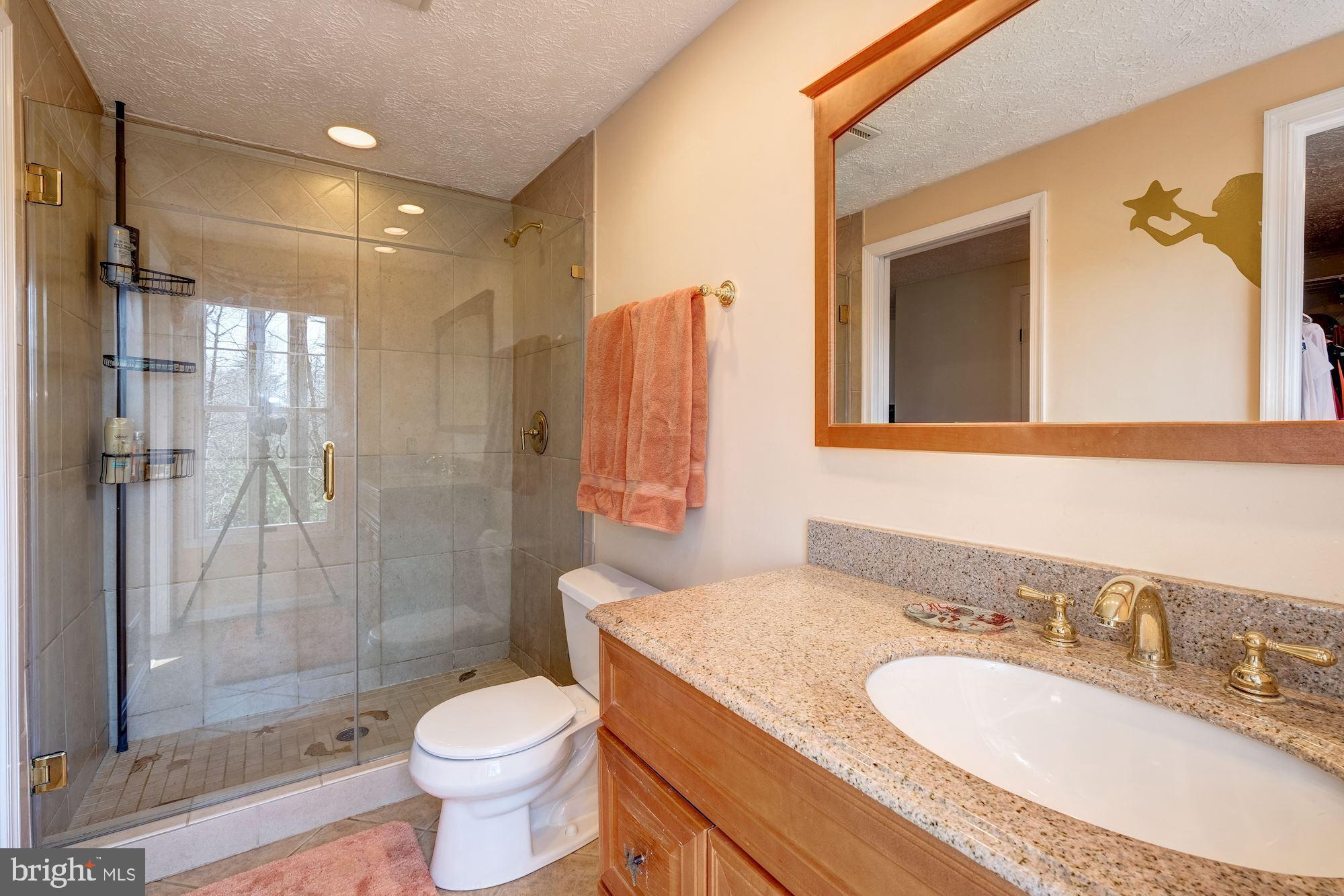 1390 Concord Point Lane Reston, VA 20194 - Photo 19 of 49 Updated Mstr Bth w/frameless shower & granite cntr