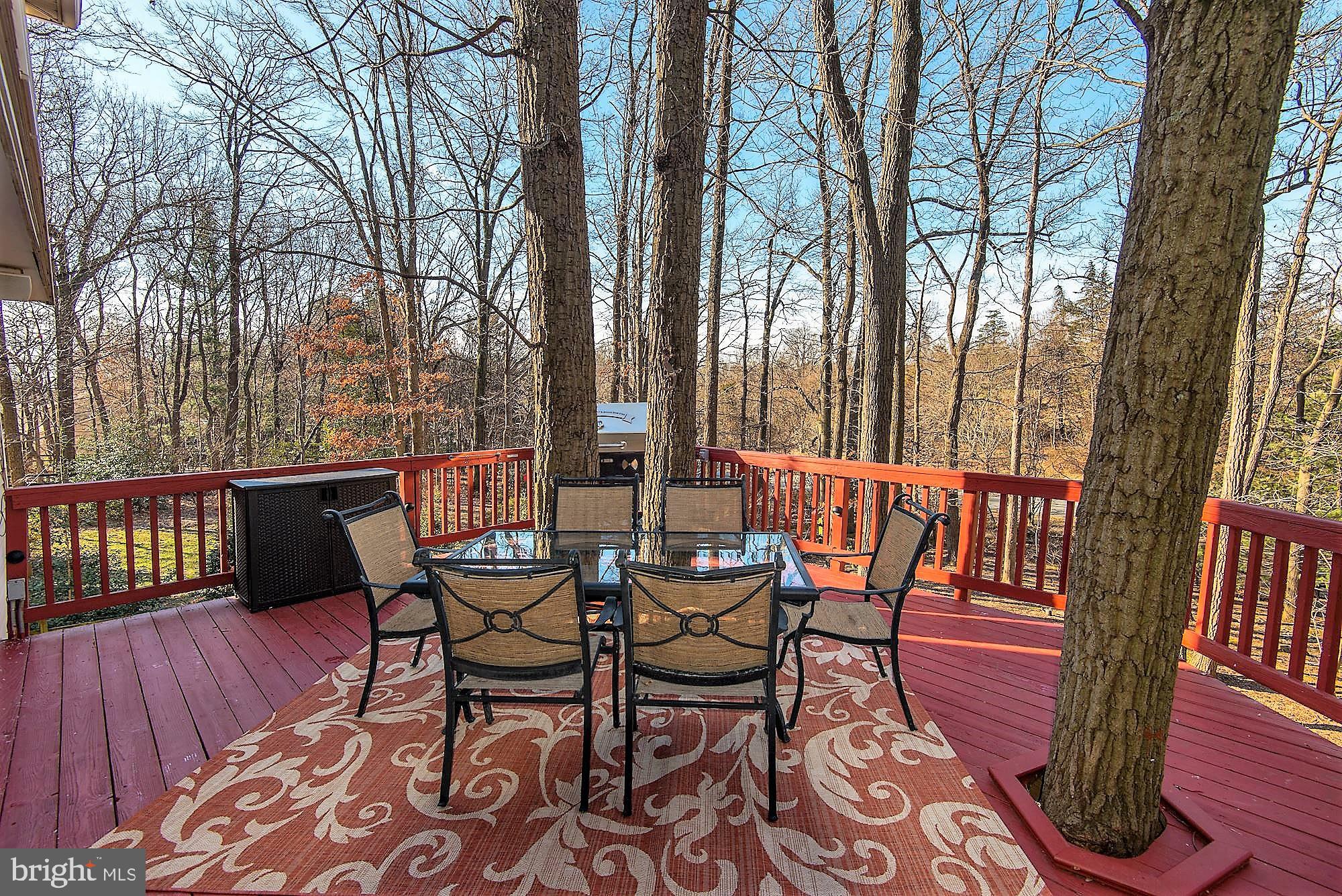 1390 Concord Point Lane Reston, VA 20194 - Photo 37 of 49 Scenic views