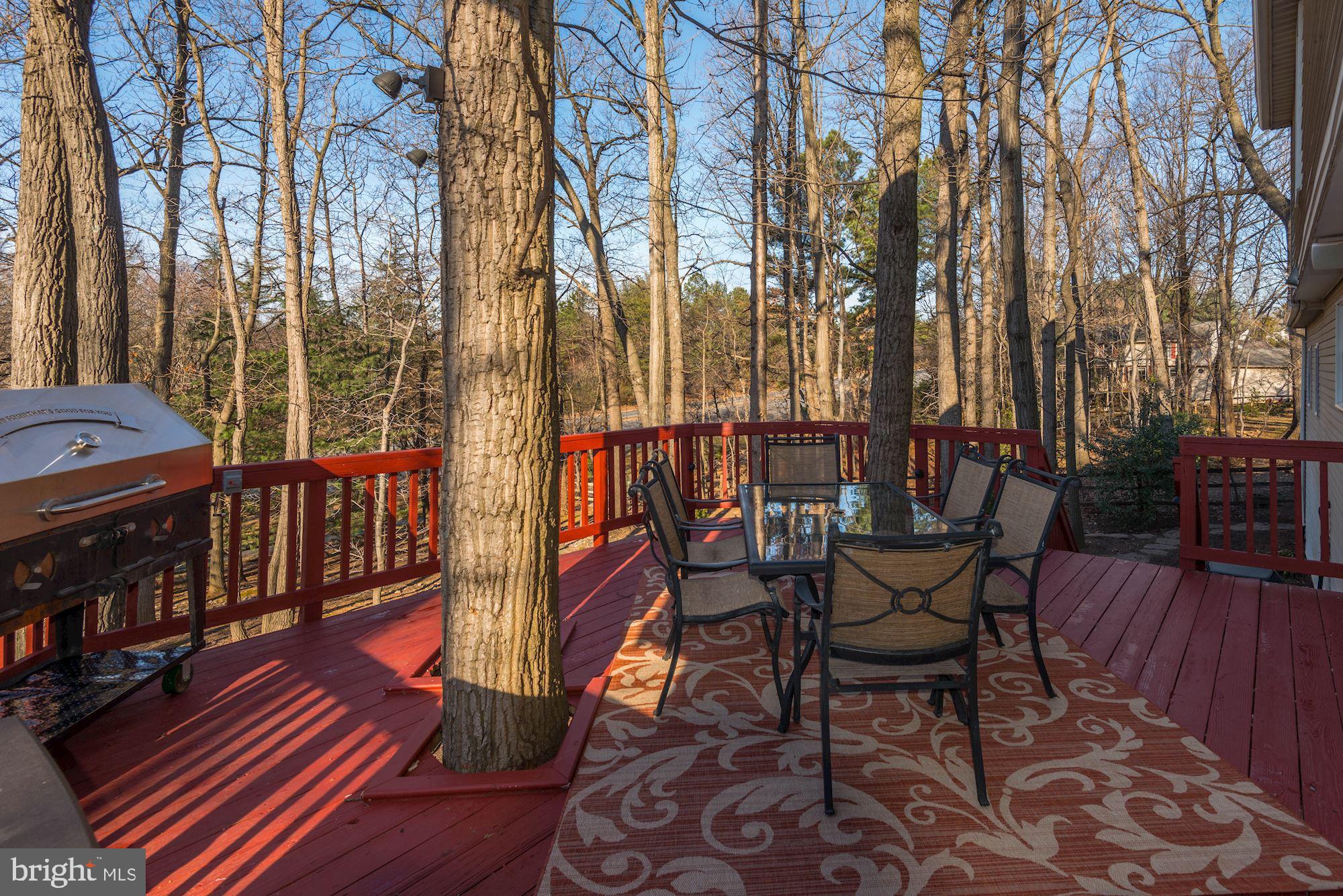 1390 Concord Point Lane Reston, VA 20194 - Photo 38 of 49 Relax on this incredible deck