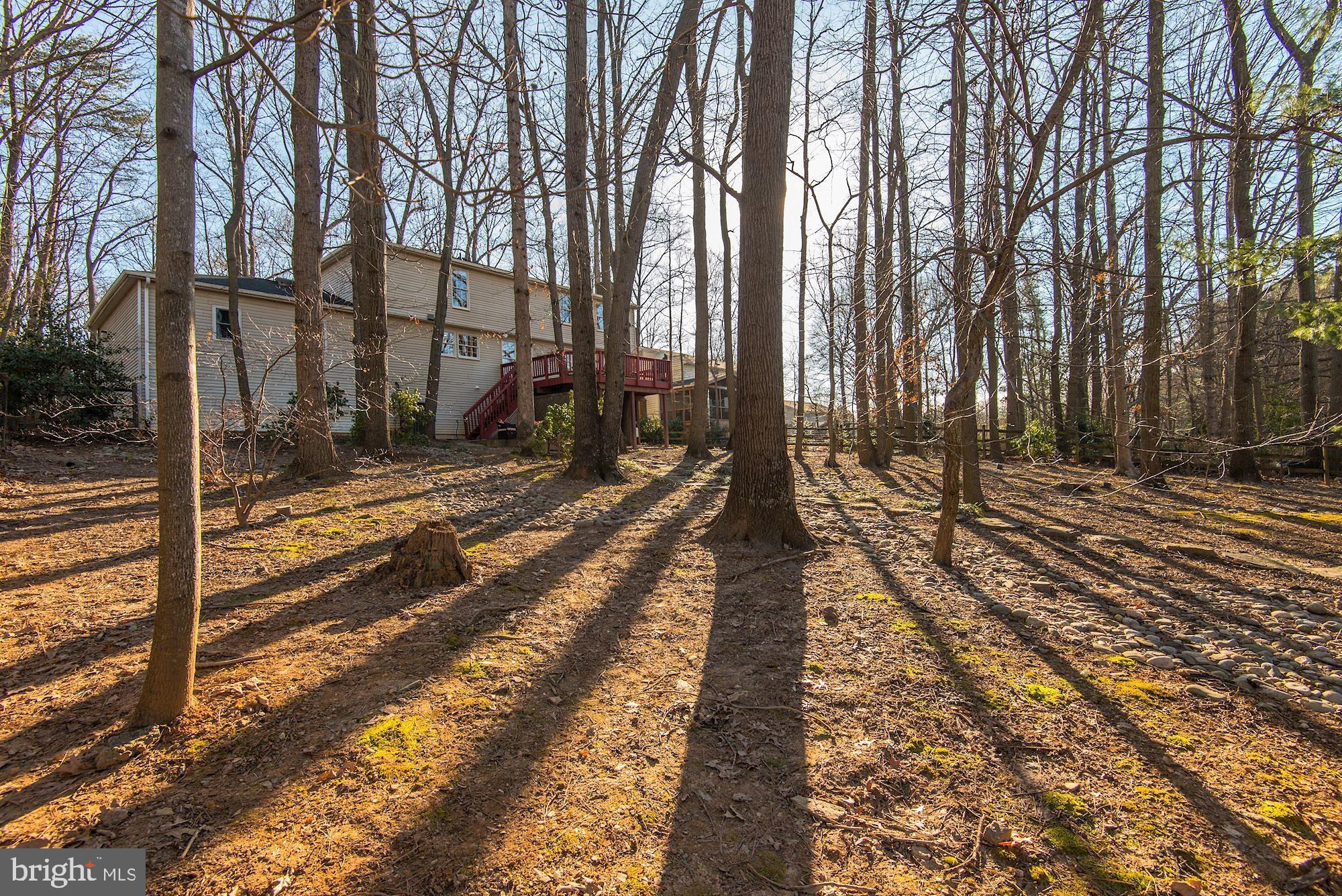 1390 Concord Point Lane Reston, VA 20194 - Photo 42 of 49 Beautiful mature trees