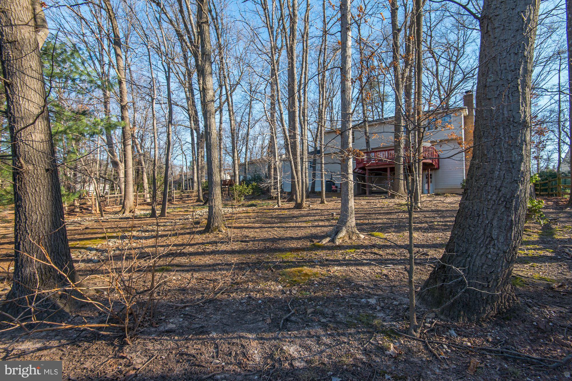 1390 Concord Point Lane Reston, VA 20194 - Photo 43 of 49 HUGE backyard