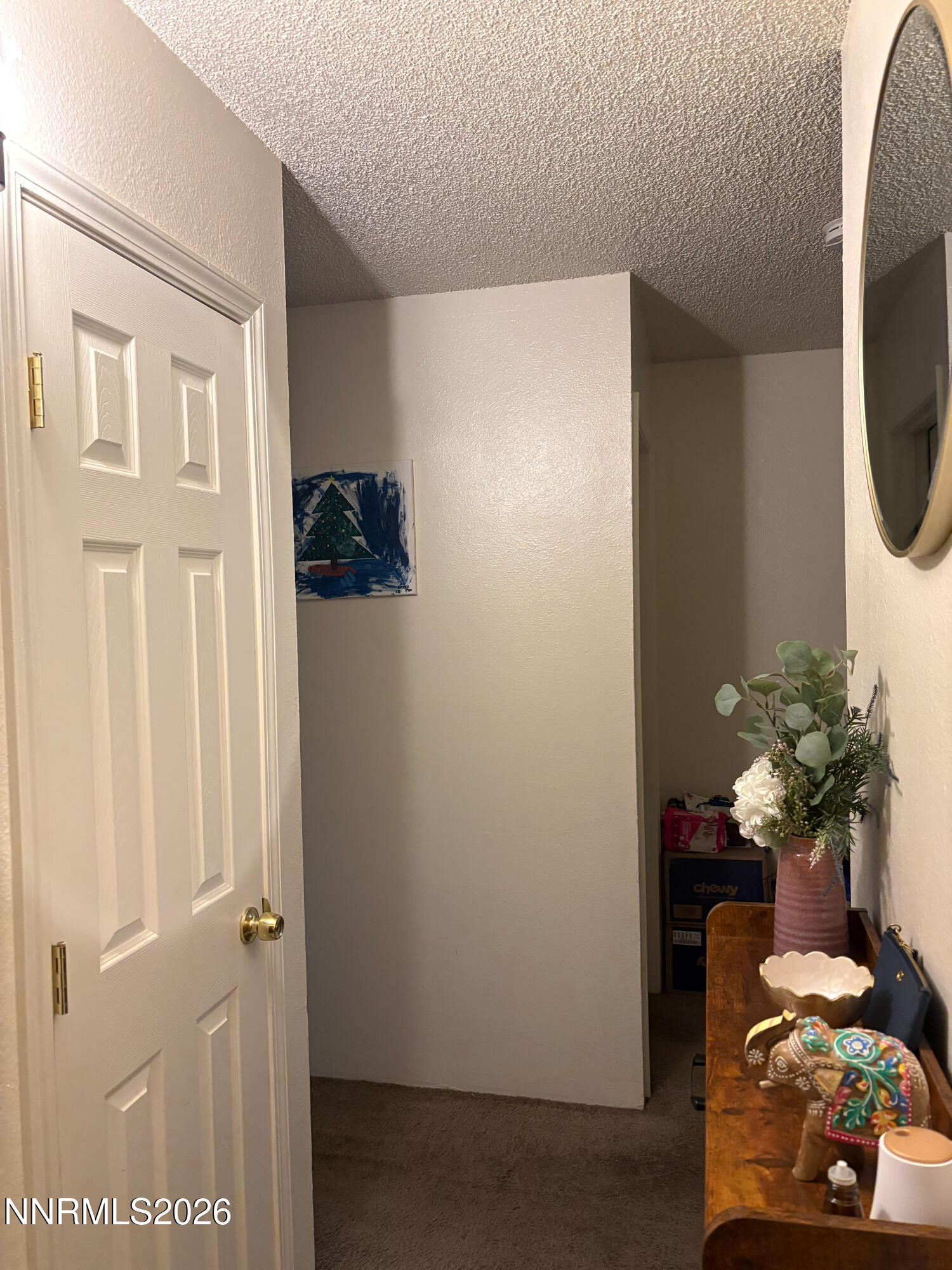 400 South Saliman Road, Unit 146 Carson City, NV 89701 - Photo 4 of 15 IMG_5539