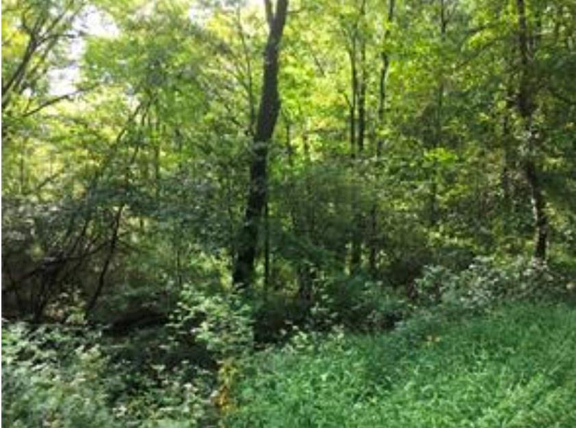 Lot 2 West Cruikshank Road Butler, PA 16002 - Photo 1 of 1