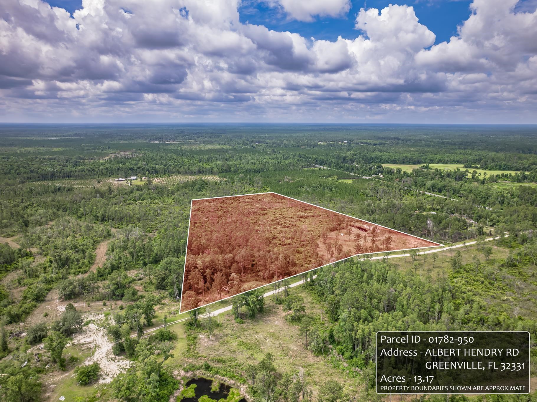 0 Albert Henry Road Perry, FL 32348 - Photo 10 of 18