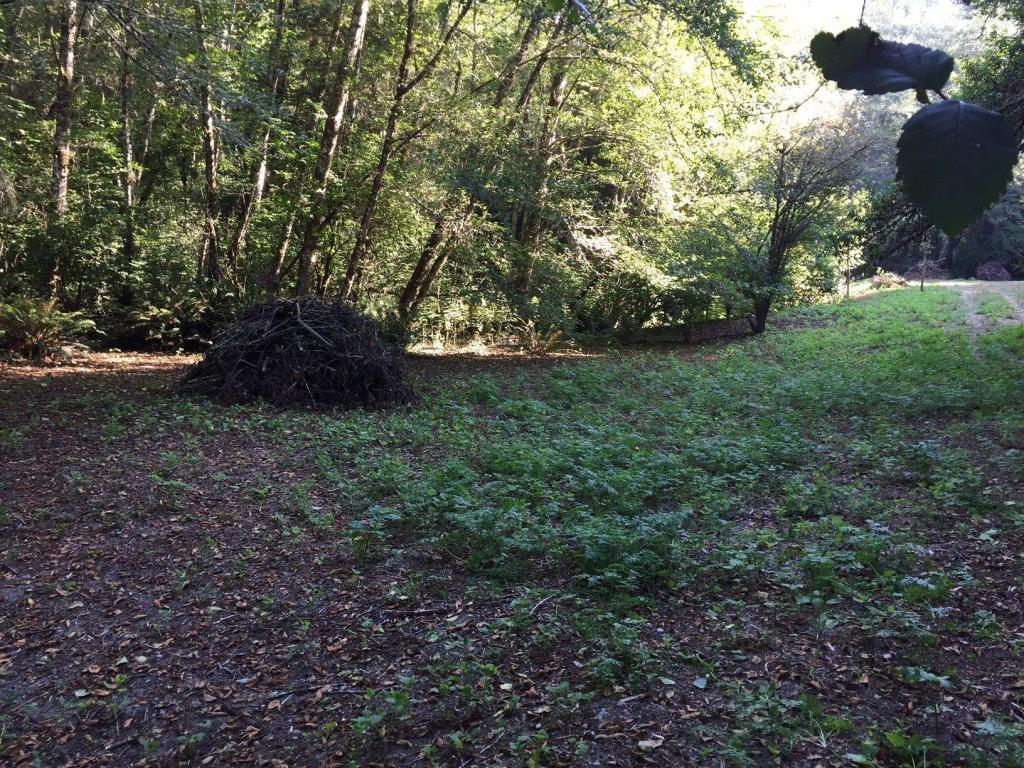 0 Puddin Lane Hydesville, CA 95547 - Photo 12 of 15