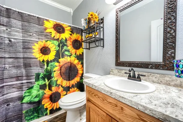 a bathroom with a sink toilet and mirror