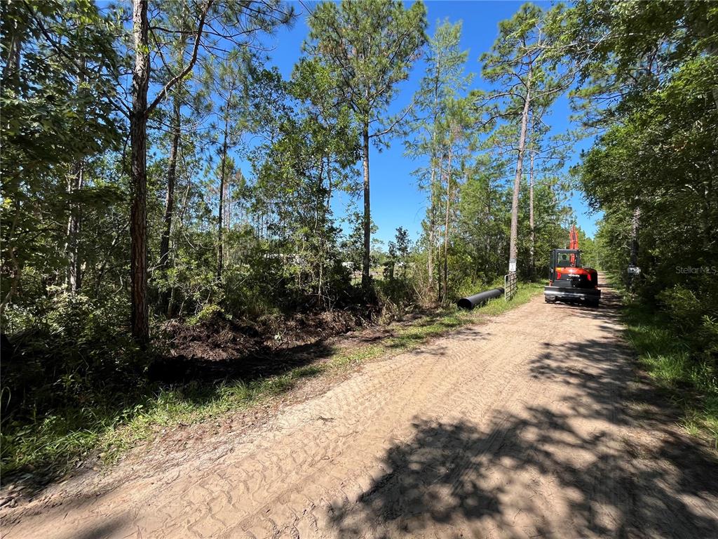 0 Gum Road New Smyrna Beach, FL 32168 - Photo 1 of 1