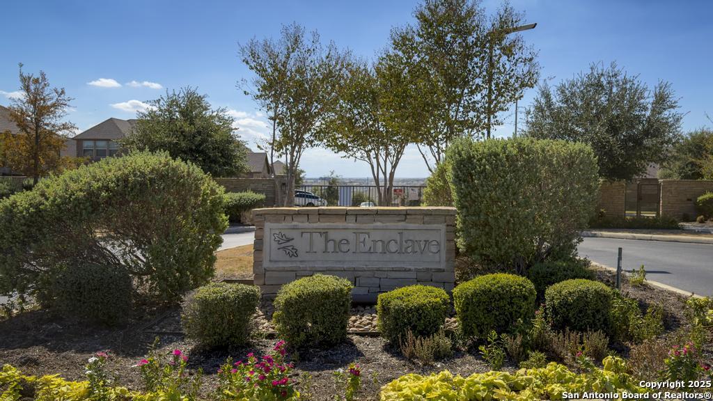 12805 Big Tank Ranch San Antonio, TX 78245 - Photo 31 of 35 a view of a garden with plants and large tree